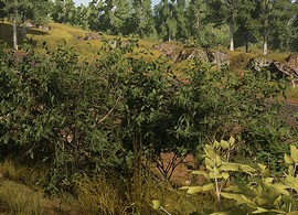 squaddies-release-v212-will-go-live-on
